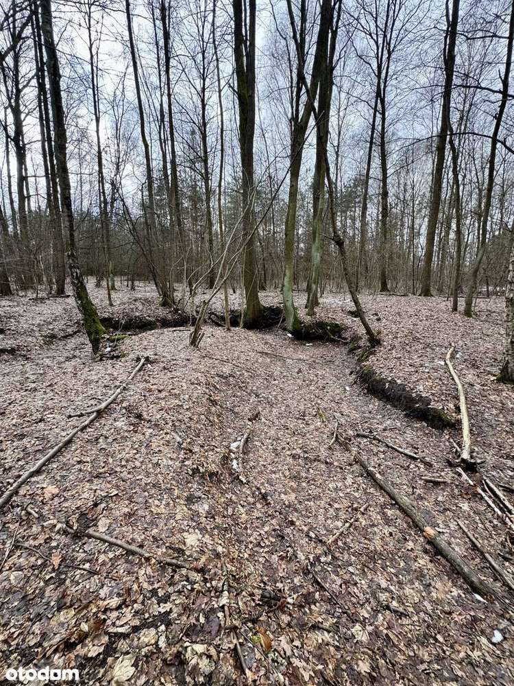 Wyjątkowa oferta! Działka z pozwoleniem na budowę zagrodową!-13