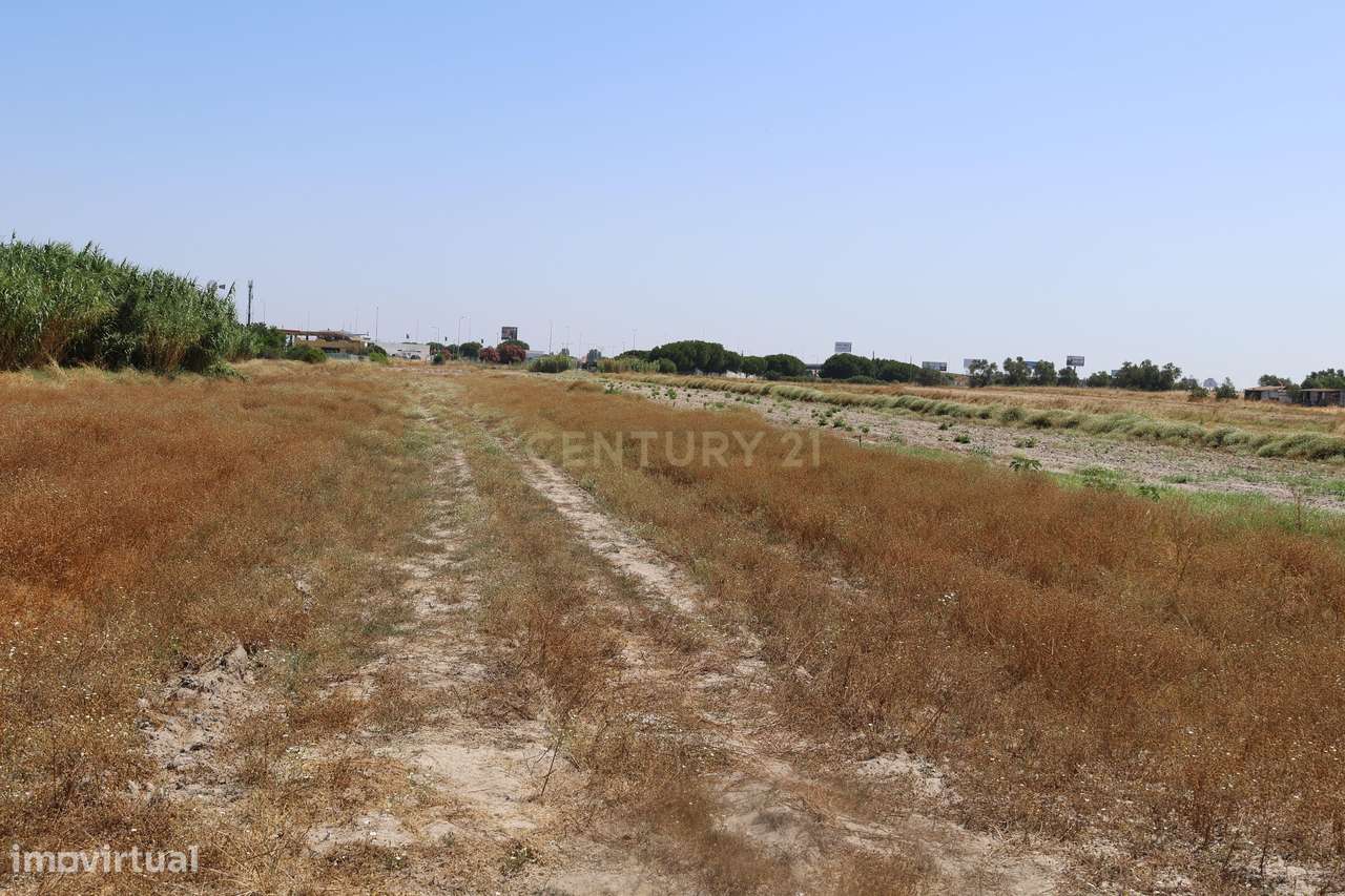Terreno 1.6 Ha Samouco - Alcochete-8