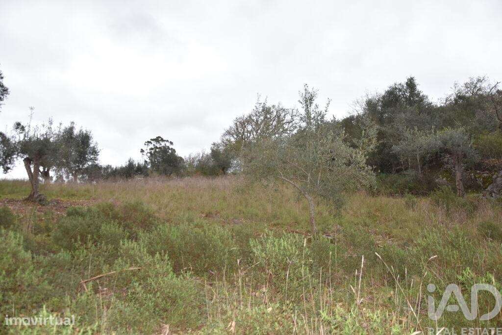 Terreno em Chãos de 2120,00 m2 - Grande imagem: 5/26
