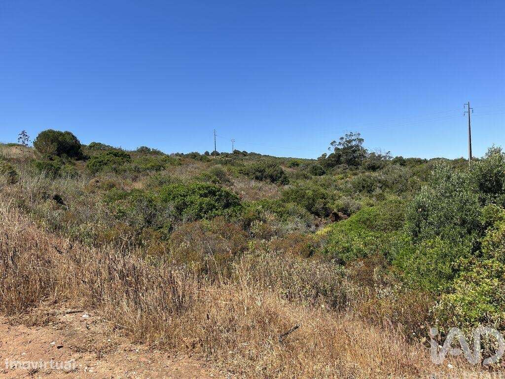 Terreno em Barão de São Miguel - Grande imagem: 4/6