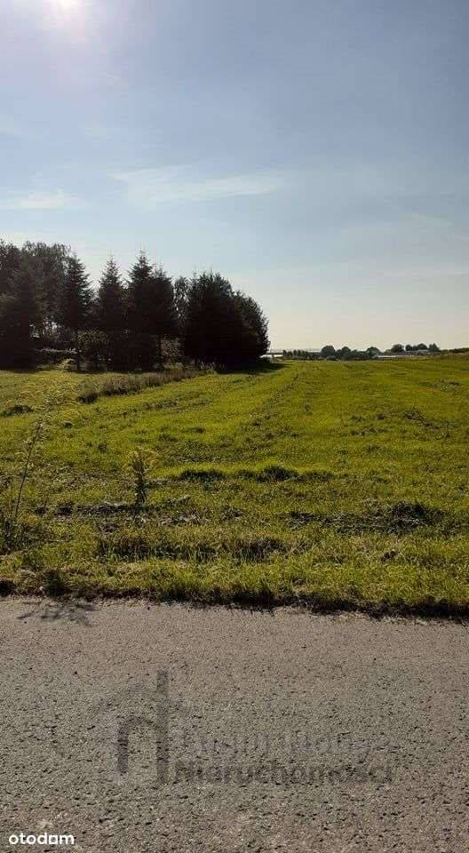 Działka, 2 843 m², Snopków - Pełny obrazek: 4/7