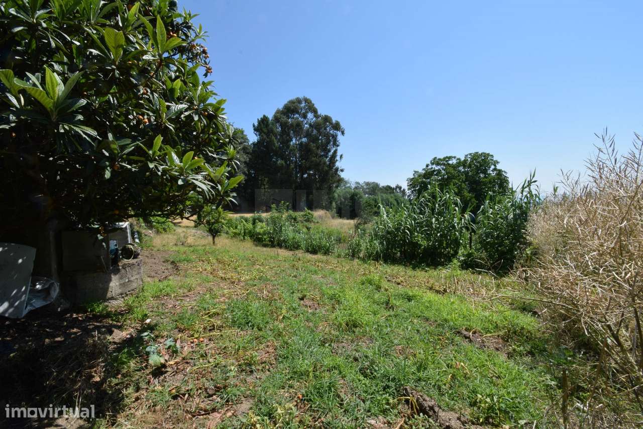 Terreno com 4.522 m² e Viabilidade de Construção - Vila do Carvalho-19