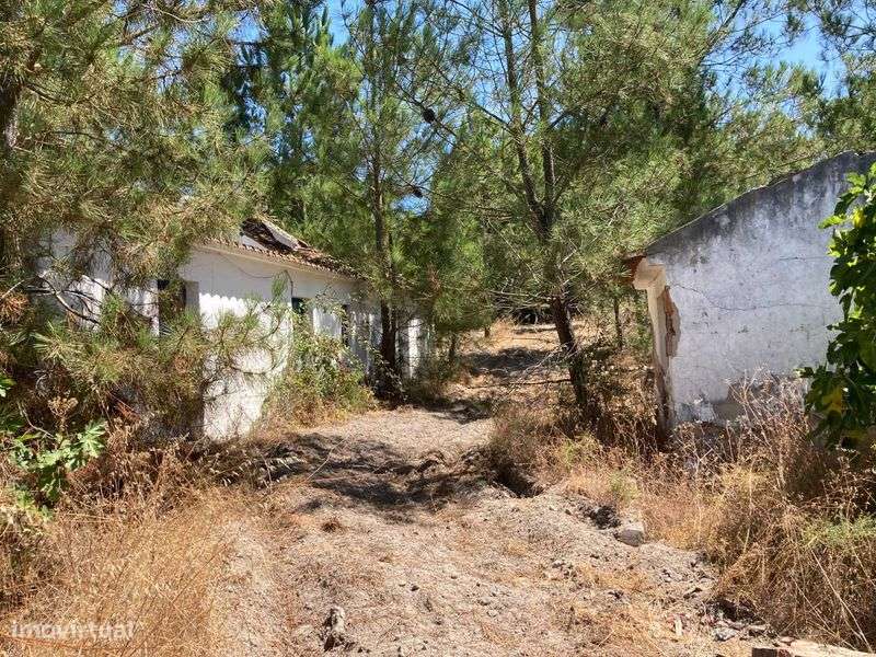 Terreno em Coruche - Grande imagem: 4/7