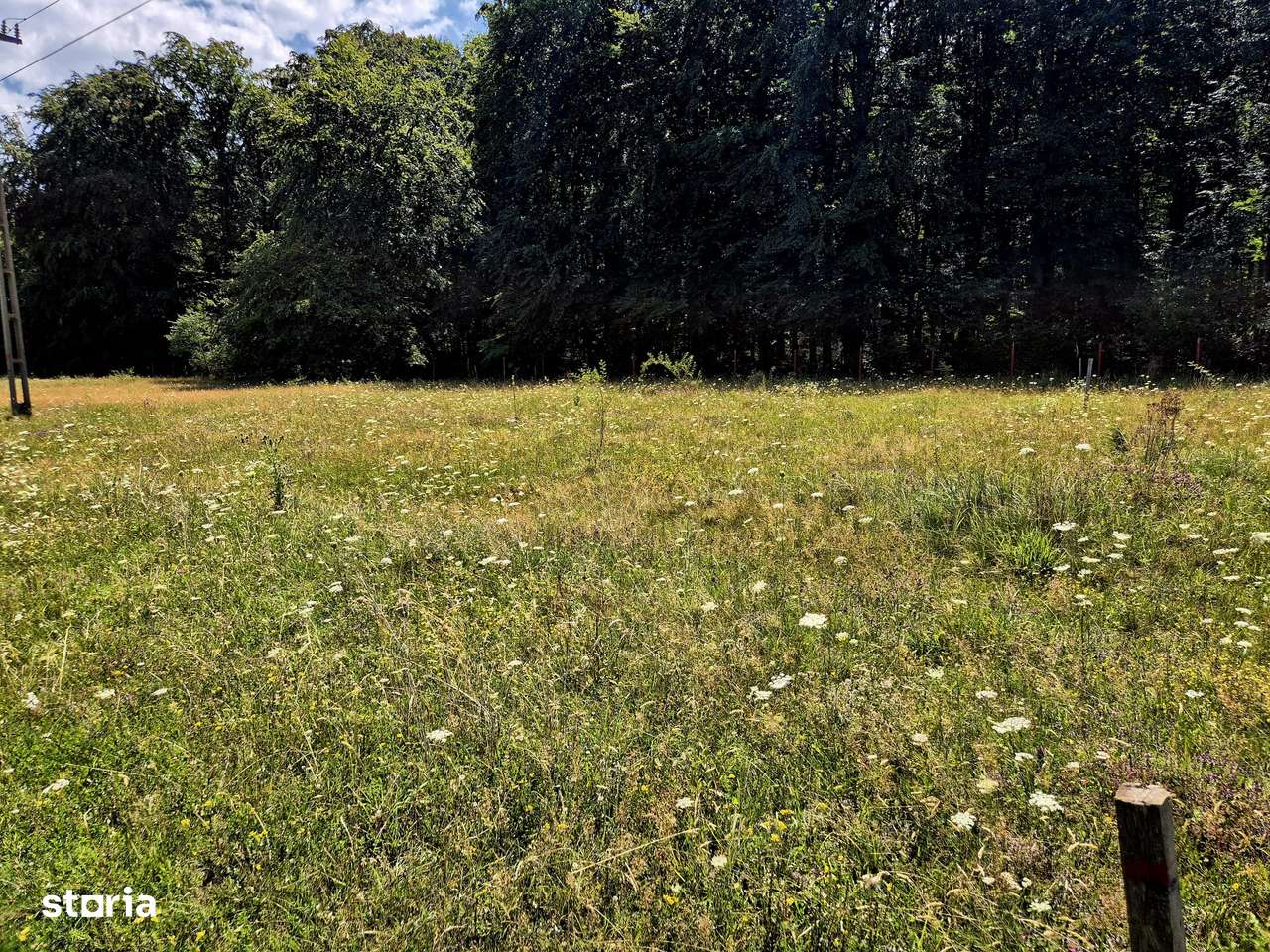 Teren cu energie speciala/Manastirea Sambata de Sus/intravilan 1000mp - Imagine principală: 4/8