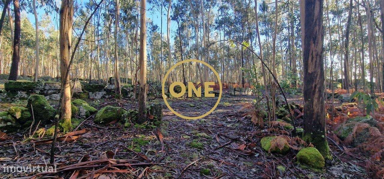 Fantástico Terreno Rústico de 7230m2 em Cabanas, Santo Tirso, Porto - Grande imagem: 2/9