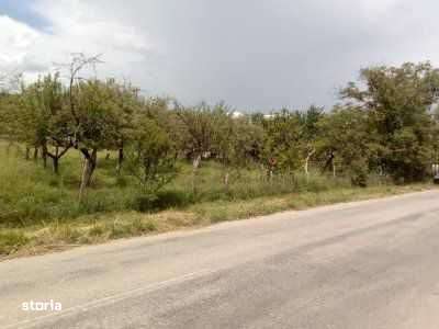 Teren Intravilan ,Draghici,Jud. Arges - Imagine principală: 4/7