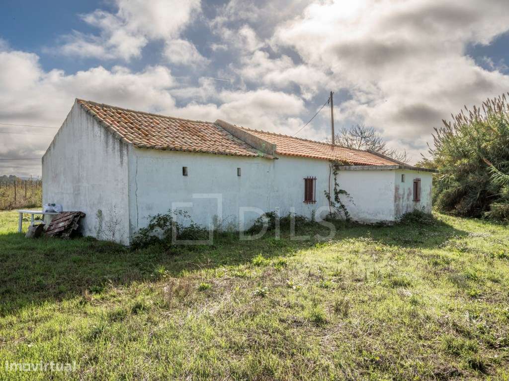 Quinta T2+1 na Lagoa de Santo André, Santiago do Cacém - Grande imagem: 4/22