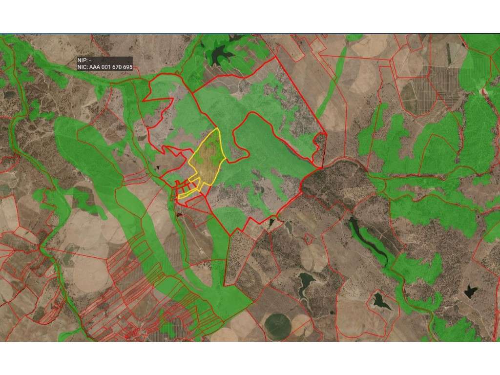 HERDADE EM PORTALEGRE FRONTEIRA - 65 HA COM 4.000 OLIVEIRAS | REGAD... - Grande imagem: 4/8