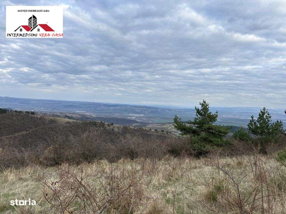 Teren extravilan 20750 mp de vanzare Inuri - Vintu de Jos Jud  Alba - Imagine principală: 4/14