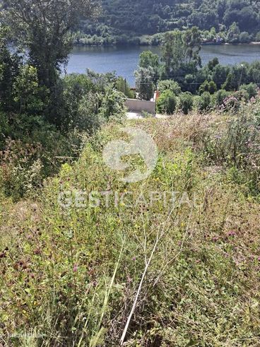 Quintinha com vista para o Douro em Magrelos, Marco de Canaveses-11