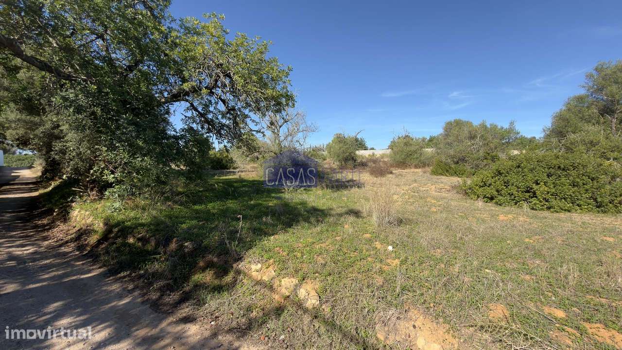 Terreno Rústico plano a 10min de Olhão. Oportunidade-9