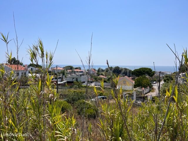 Terreno Rústico na Quinta da Raposeira com vista mar