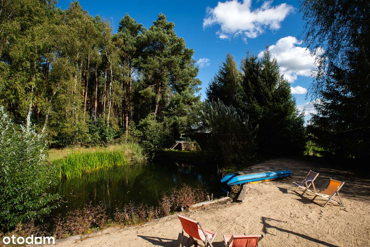 Dom i biznes w otoczeniu lasu-3