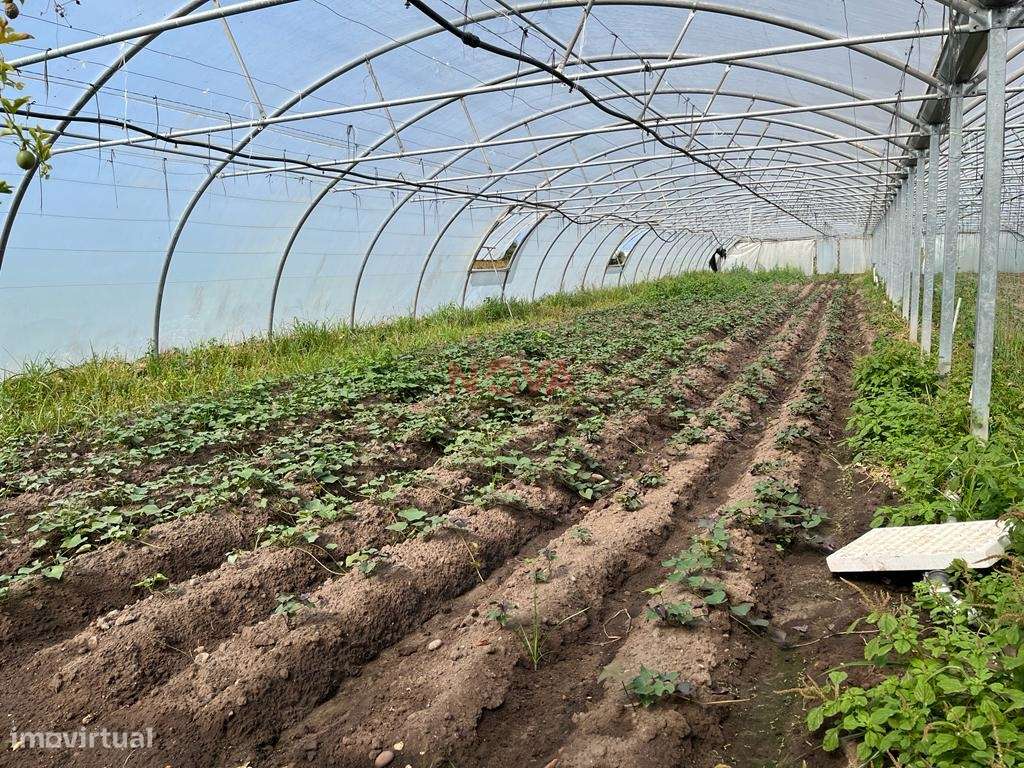 Terreno Rústico  Venda em Aguçadoura e Navais,Póvoa de Varzim - Grande imagem: 4/7