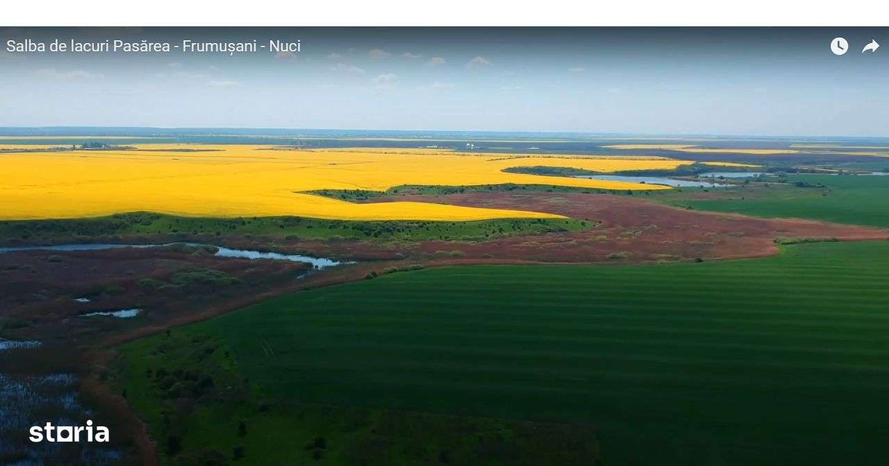 Ocazie investitie zona Frumușani, langa proiect in dezvoltare.-7