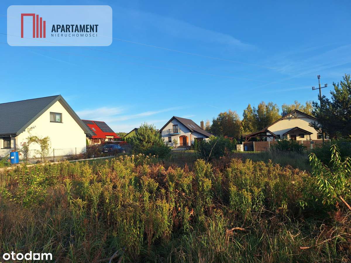 Działka Dębina spokojna okolica - Pełny obrazek: 4/6