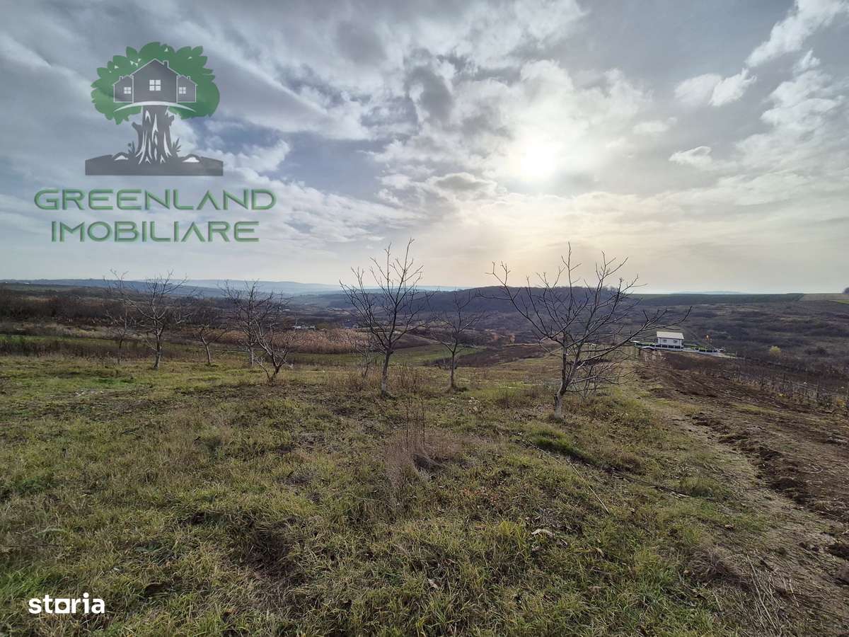 TEREN INTRAVILAN 500mp, Valea Ursului-Miroslava - Imagine principală: 3/5