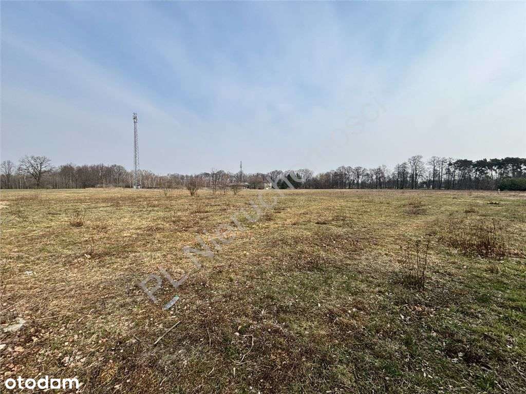 Odrano-Wola – miejsce, które inspiruje. - Pełny obrazek: 4/4