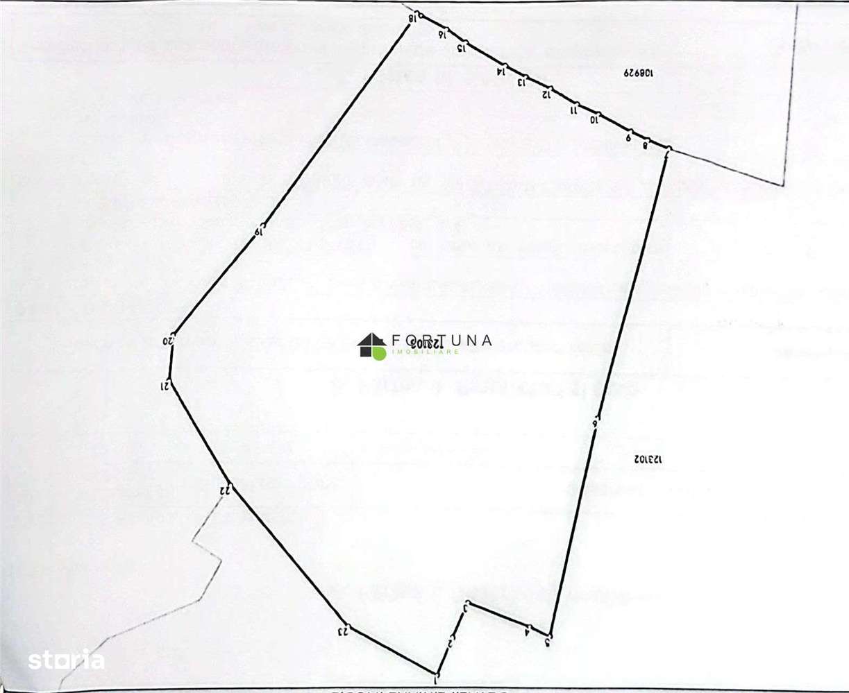 Teren intravilan, 21.000 mp, Zona Intre Barse, spre Plaiul Foii, Zarne-5