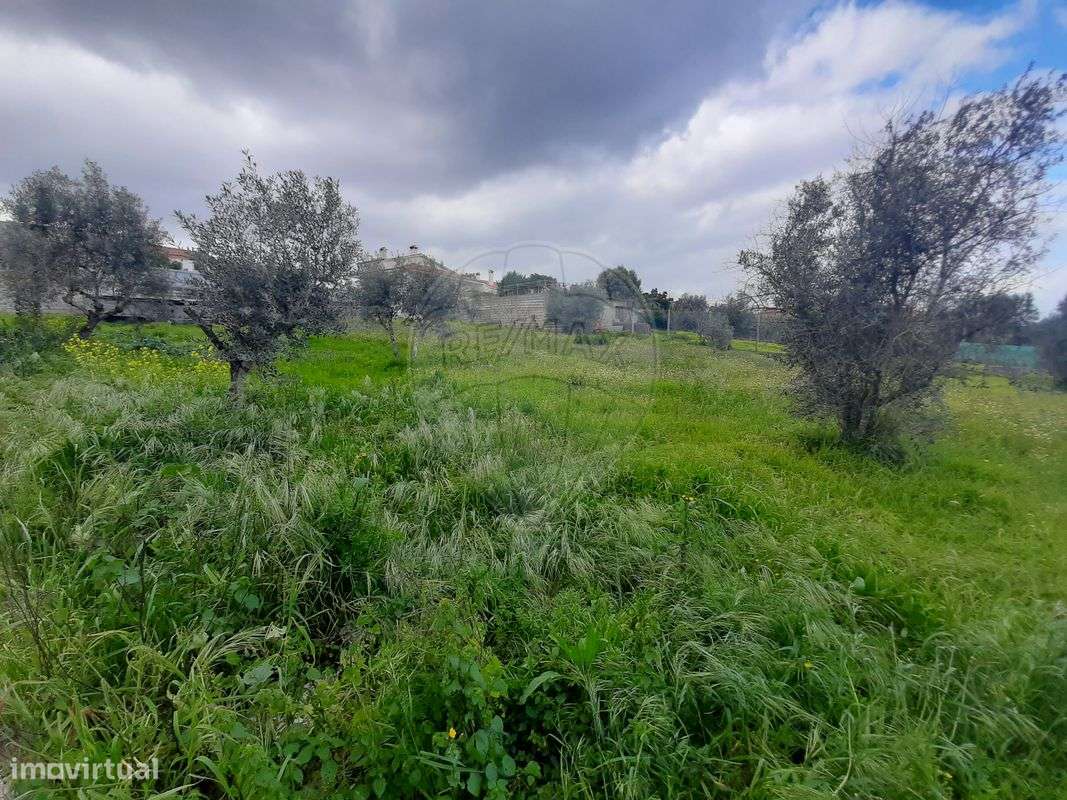 Terreno  para venda - Grande imagem: 3/4