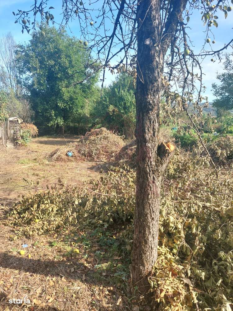 CASĂ DE VÂNZARE 2 CAMERE\ ZĂVOI\ JUD. CARAȘ-SEVERIN-6