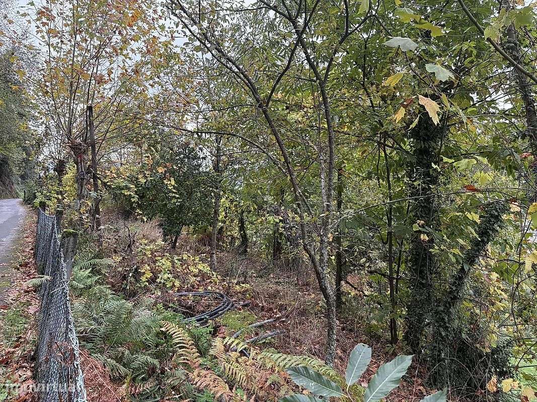 Terreno  para venda - Grande imagem: 4/4