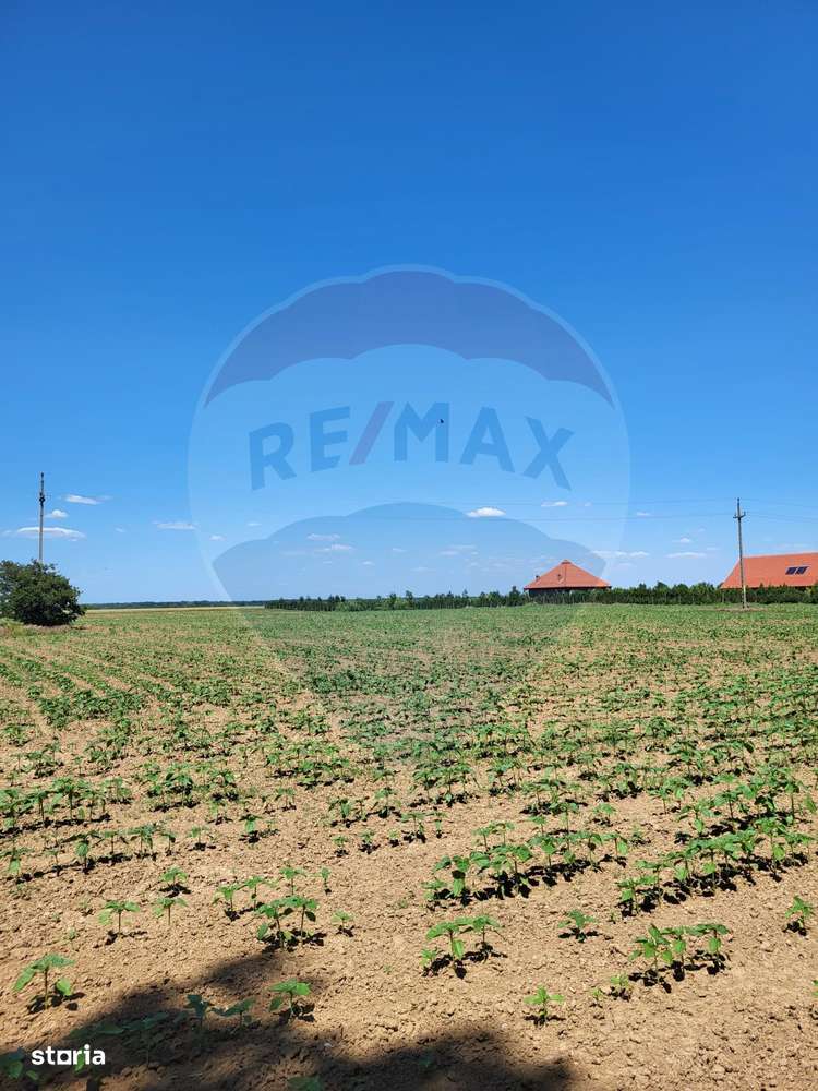 Teren Ciolpani  30800 mp, intravilan, f.s. 105m comision 0% - Imagine principală: 2/3