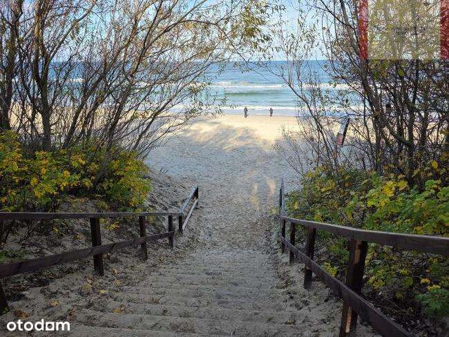 600m od plaży- Jastrzębia Góra (Klonowa)-14