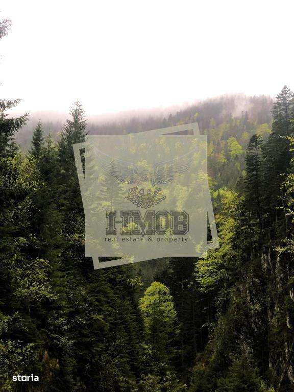 Casa de vacanta sau pensiune zona Porumbacu de Sus - Imagine principală: 4/13