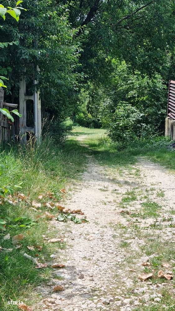 Arges Campul Lung Muscel 5700 mp d=33ml - Imagine principală: 1/12