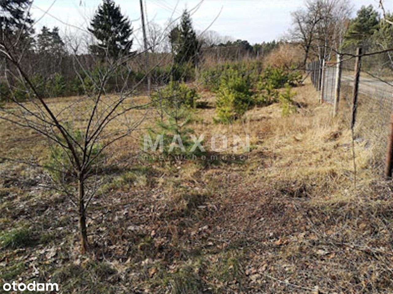 Piękne tereny zielone ! - Pełny obrazek: 5/6