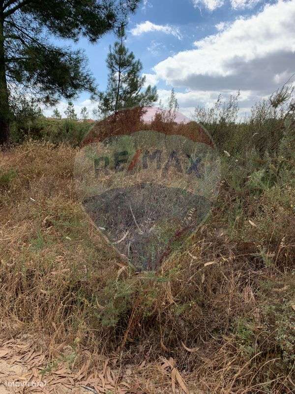 Terreno  para venda - Grande imagem: 2/8