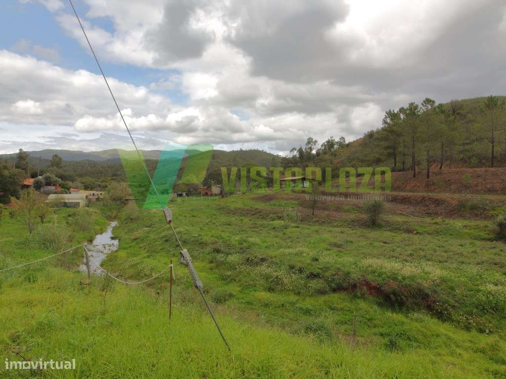 Terreno Rústico Com Água e Energia Elétrica, Mexilhoeira Grande Por... - Grande imagem: 5/15