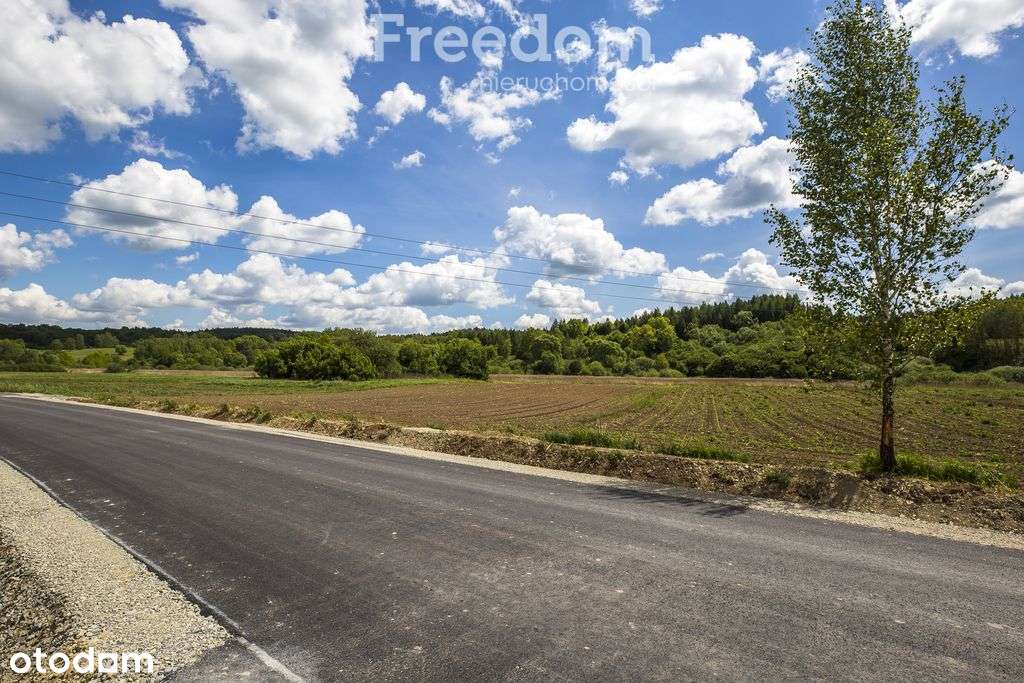 Działka 79 ar z Wz w Bachowie, gm. Krzywcza - Pełny obrazek: 1/13