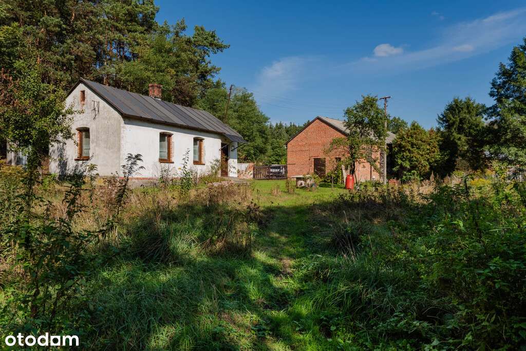 ✅ Sprawdź >>> Działka rekreacyjna (VAT) - 1602m2 ✅-5