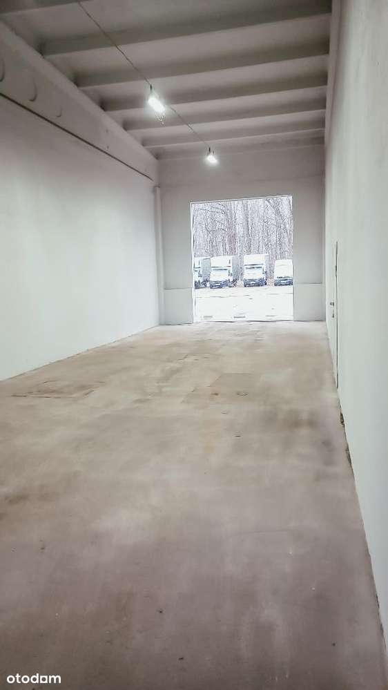 Hala do wynajęcia - Pełny obrazek: 2/11