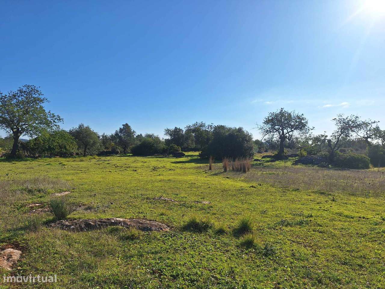 Terreno Rústico no Sítio do Laranjeiro de Santa Catarina da Fonte d...-1