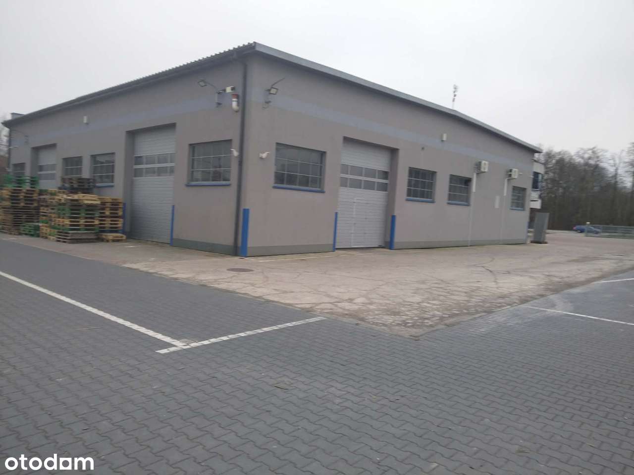 Biuro + Magazyn + plac trasa wylotowa Warszawa - Pełny obrazek: 5/20