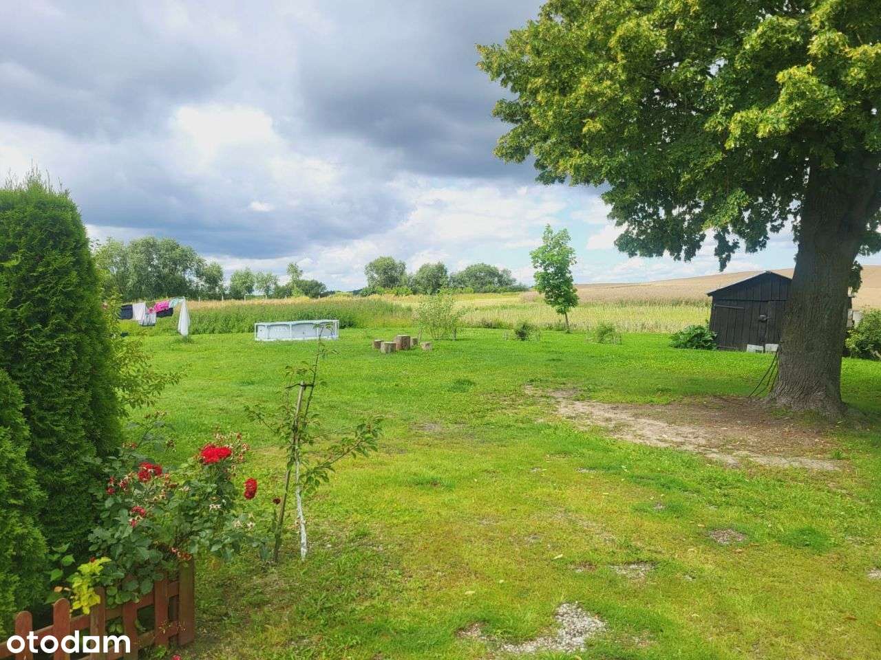 Wiśniówek blisko Susza, Kisielic, Iławy, Kwidzyna - Pełny obrazek: 4/11