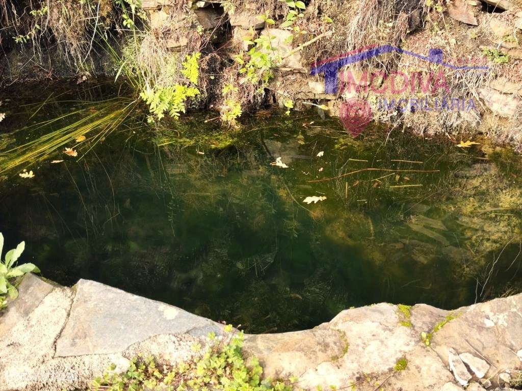 Terreno sustentável em Graça, Pedrogão Grande-21