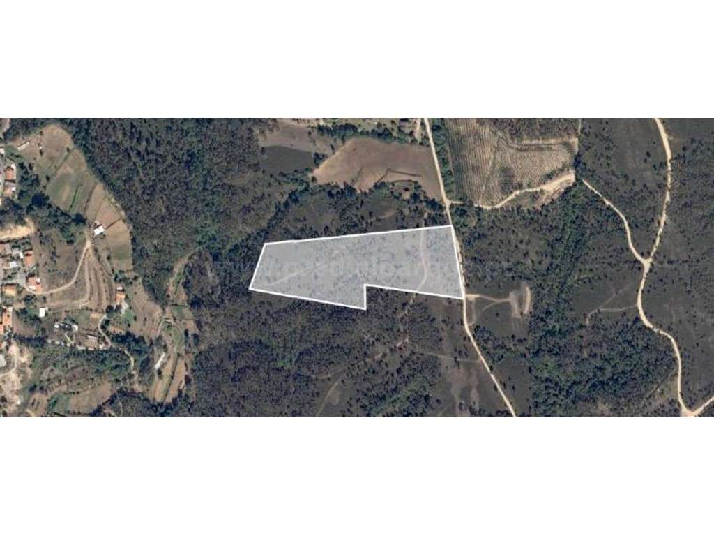 Terreno rústico para venda, Melres-14