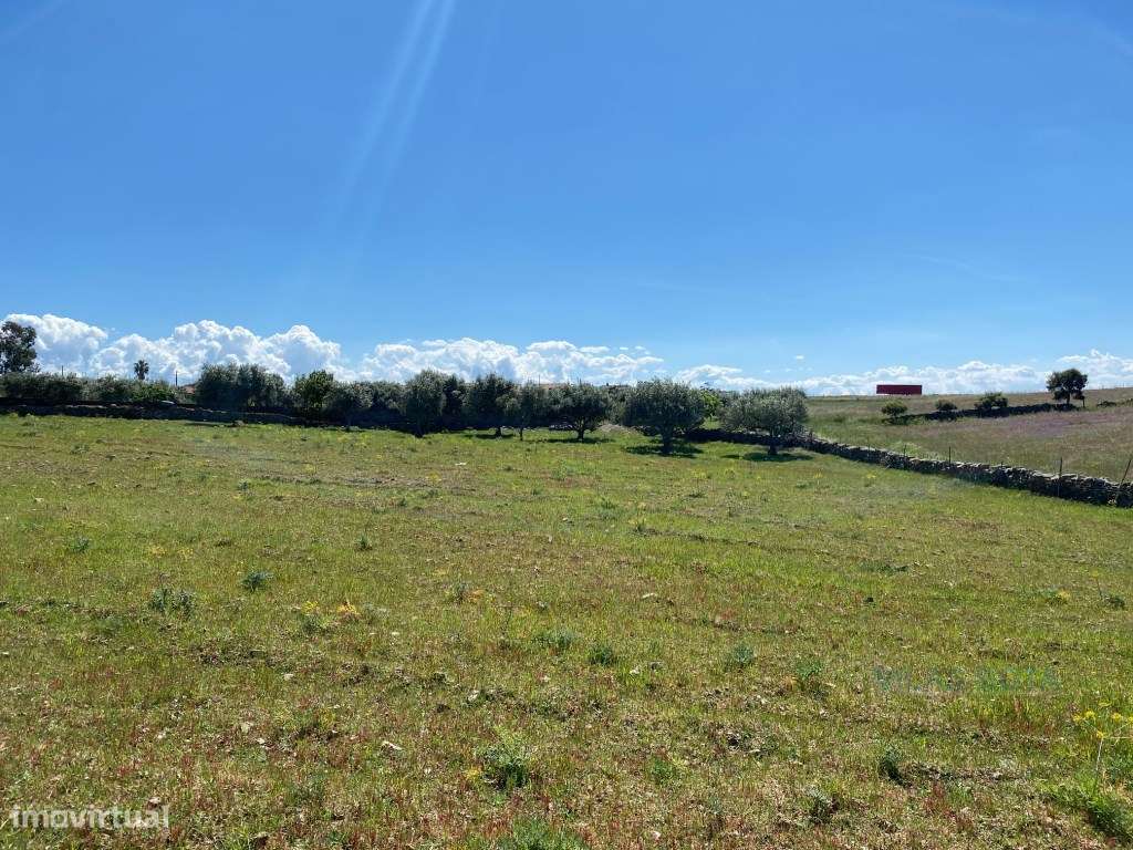 Lote de Terreno para Construção - Grande imagem: 3/7