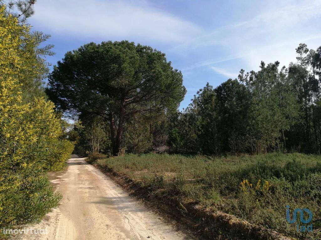 Terreno em Setúbal de 65250,00 m2