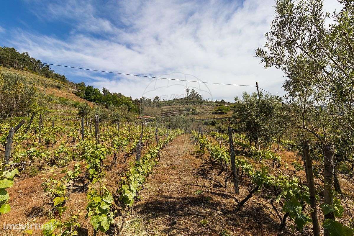 Moradia T6 para venda - Grande imagem: 5/29