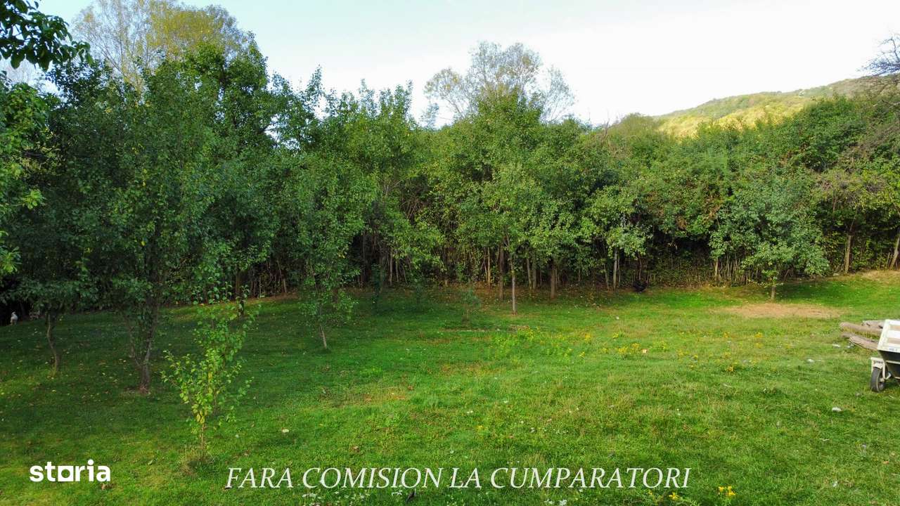 TEREN 1869 MP, CADRU NATURAL SUPERB, TOATE UTILITATILE-8