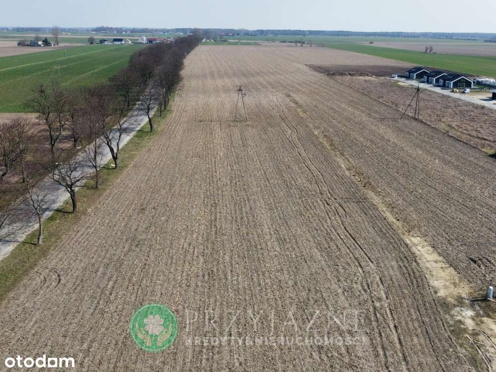 Działki budowlane Czerlejno -> BLIKSKO KOSTRZYNA - Pełny obrazek: 3/9