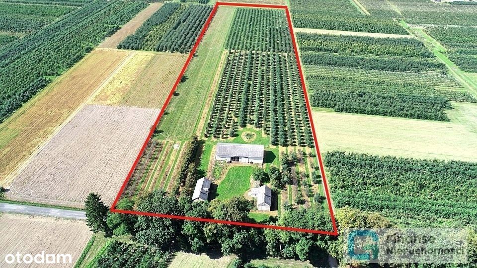 Gospodarstwo rolne, 3,6 ha, Wilcze Średnie