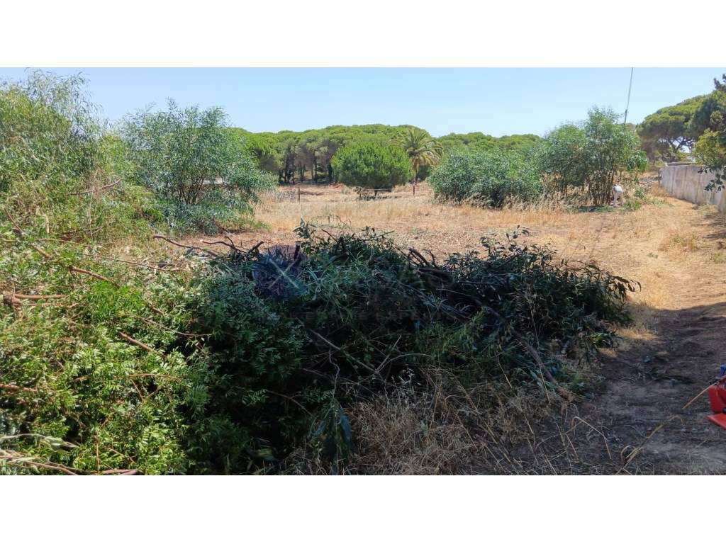 Lote de terreno para venda em Santa Eulália, a poucos minutos a pé ...-4