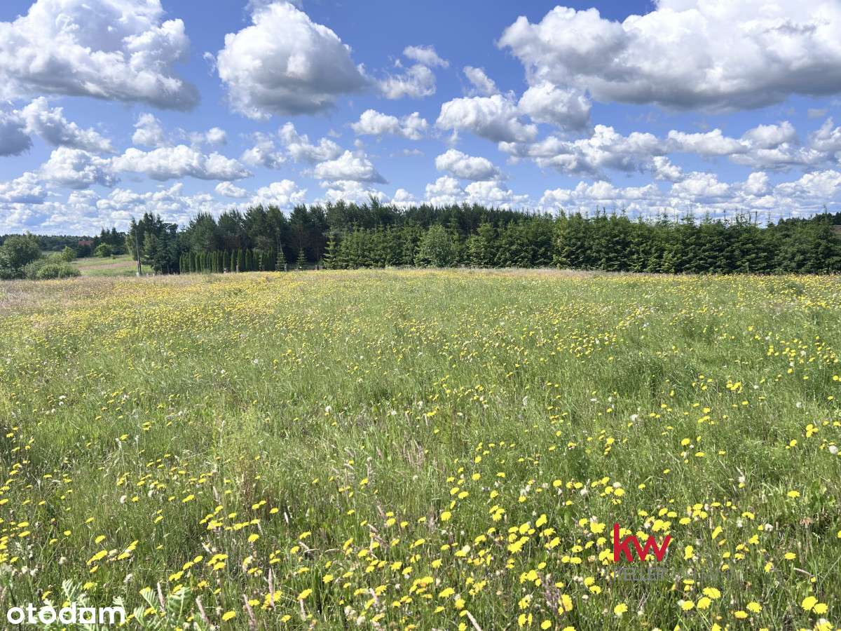 Przepiękna działka budowlana przy jeziorze Kucki - Pełny obrazek: 4/12