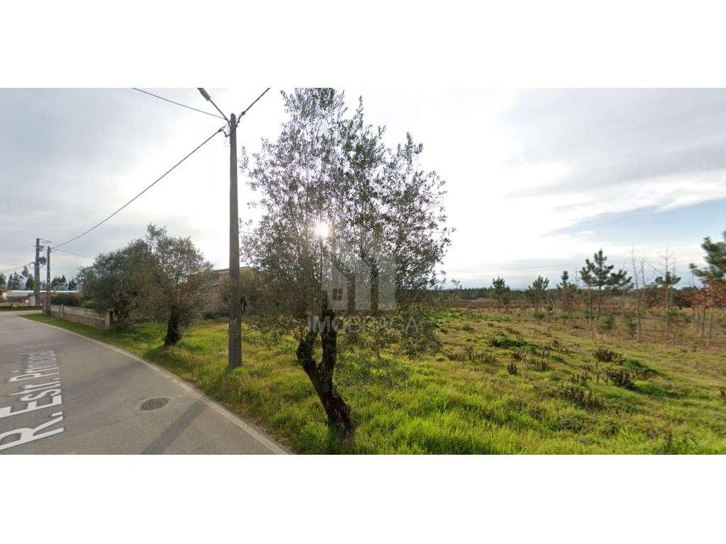 Terreno urbano à venda em São Lourenço do Barro, concelho de Anadia... - Grande imagem: 2/13